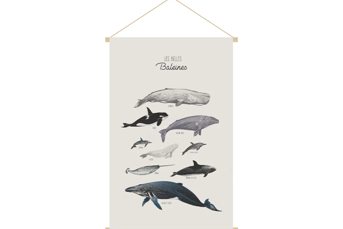 Shop Miliboo Kakemono infantil con ilustración de ballenas 40 x 60 cm OCEAN